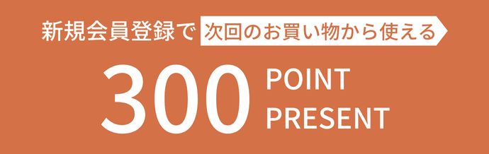 300ݥȥץ쥼
            