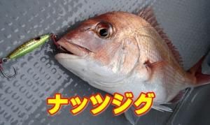 ブリス ナッツジグ - FISHING-SCRAP