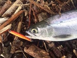 ソウルズ ヒメポン 25g - FISHING-SCRAP