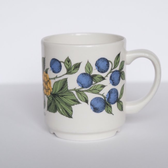 Arabia Esteri Tomula Botanica mug / アラビア エステリ・トムラ ボタニカ マグ2 - SISU