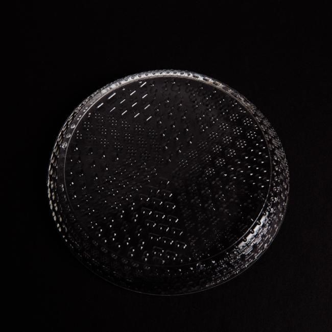 iittala Nuutajarvi Oiva Toikka Tundra plate / イッタラ