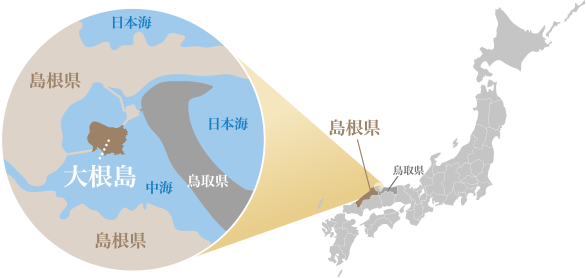 大根島地図