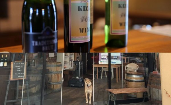［満員御礼］【8名限定】  7.10（日） 峡東ワインツアー　機山洋酒工業 & 三養醸造