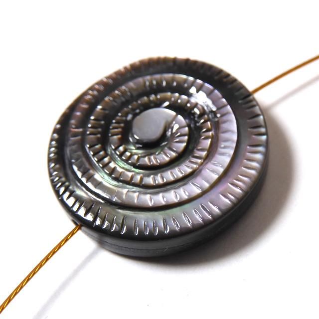 黒色巻貝型化石 約15cm 黒色巻貝型化石 約15cm 黒色巻貝型化石 約15cm