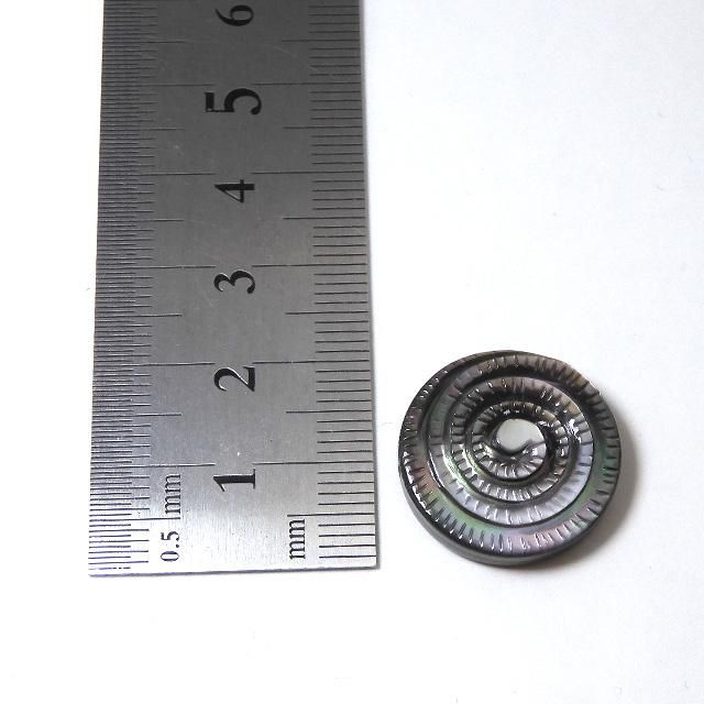 黒蝶貝 巻貝風デザイン 彫り 1粒売り - 魔石屋.com