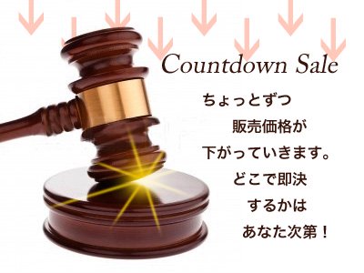 天然石福袋 2023 Countdown Sale↓↓天然石ブレスレット5点＋ルース＋