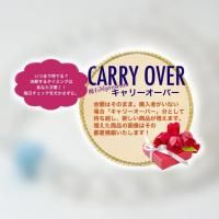 <img class='new_mark_img1' src='https://img.shop-pro.jp/img/new/icons5.gif' style='border:none;display:inline;margin:0px;padding:0px;width:auto;' />CARRY-OVERڥ꡼ ޡ徽 ֥쥹å ()