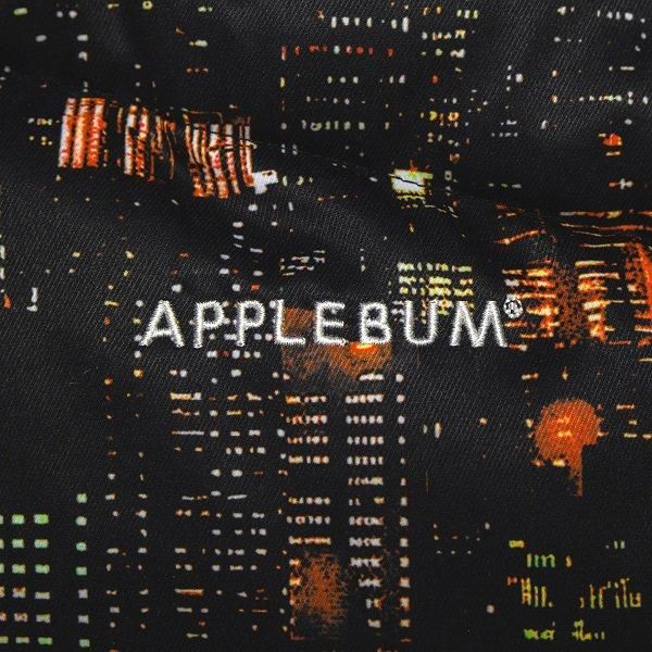 APPLEBUM】“BABYLON VIEW2” INNERCOTTON HOOD JACKET