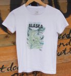 THE NORTH FACEΡե䡡ALASKAN CAMP TEE饹󥭥Tξʲ