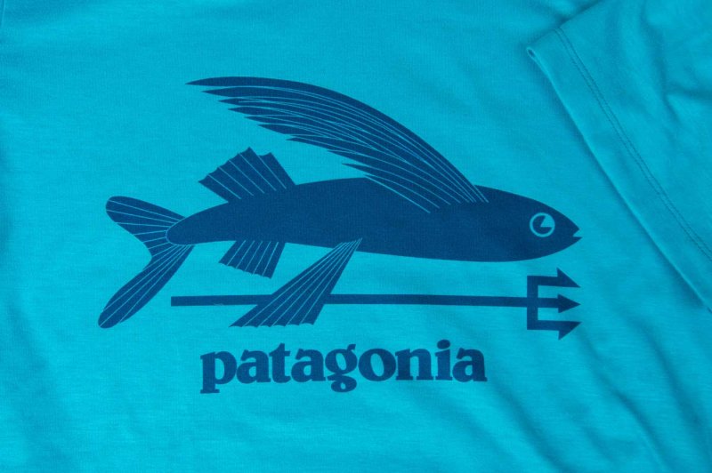 patagonia パタゴニア＞ ポラライズド TEEシャツ | 中古アウトドア用品・中古登山用品 買取・販売専門店 : maunga (マウンガ)