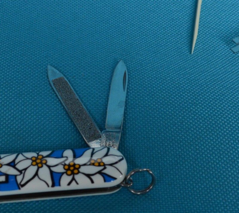 VICTORINOX ビクトリノックス＞ CLASSIC Edelweiss クラシック