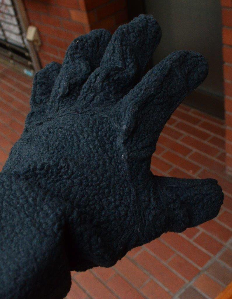 ARC'TERYX アークテリクス＞ ALPHA SV GLOVE アルファSVグローブ