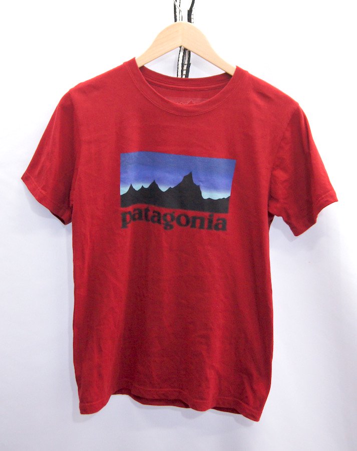 限定完売！パタゴニアビッグロゴTシャツXL/patagoniaレッド