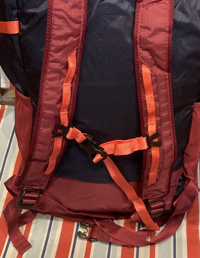 patagonia パタゴニア＞ Lightweight Travel Tote Pack ライトウェイト