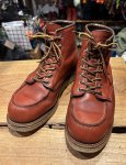 RED WINGåɥ󥰡䡡Irish Setter 8875å奻å8875ξʲ