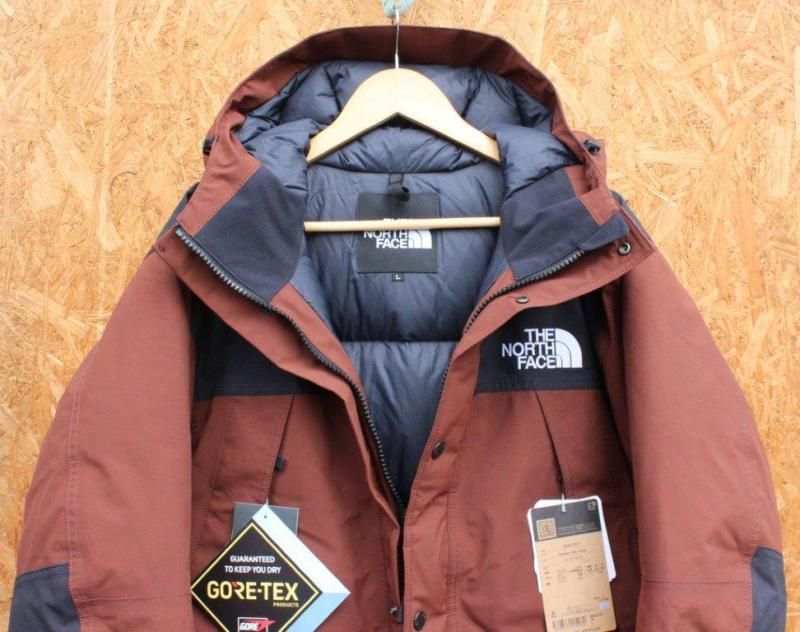 THE NORTH FACE ノースフェイス＞ Mountain Down Jacket