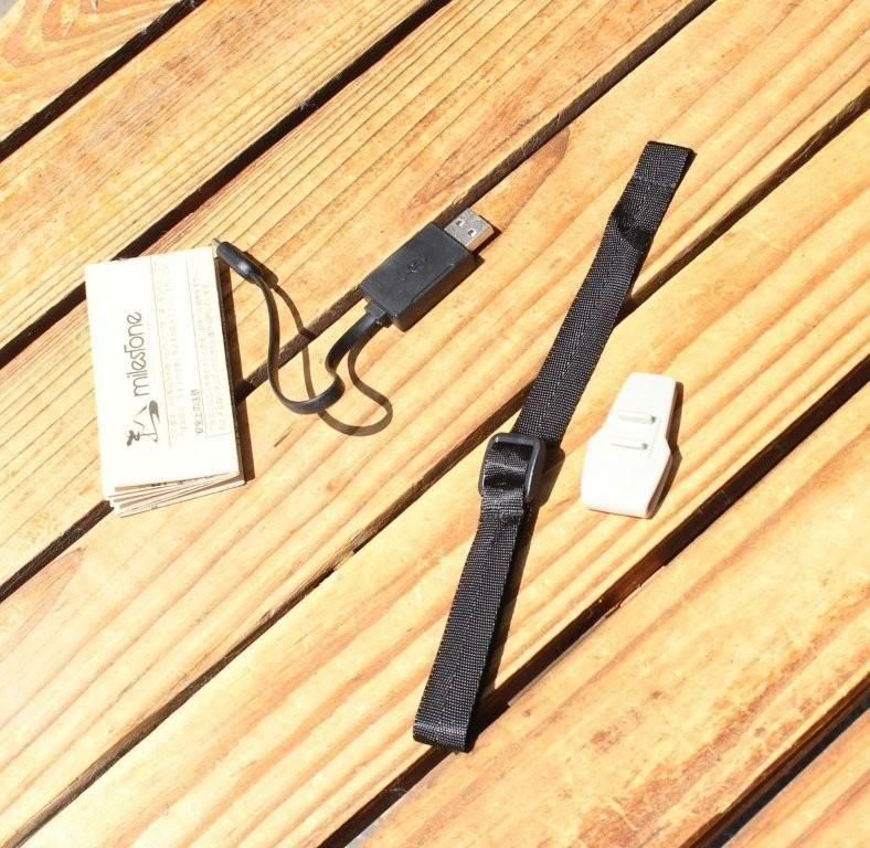 milestone マイルストーン＞ MS-i1 Endurance Model | 中古