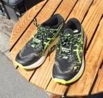 asicså䡡Fuji Lite 5ե饤5ξʲ