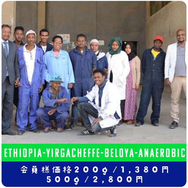 エチオピア イルガチェフェ　ベロヤ　G1　アナエロビックナチュラル　200ｇ