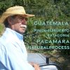 グアテマラ　エル・インヘルト農園　パタゴニア　パカマラ　ナチュラル　40ｇ