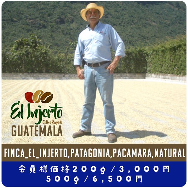 グアテマラ　エル･インヘルト農園　パタゴニア　パカマラ　ナチュラル　200ｇ