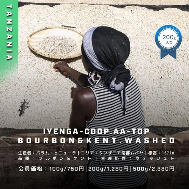󥶥˥AA TOP 󥬡åȡ200<img class='new_mark_img2' src='https://img.shop-pro.jp/img/new/icons55.gif' style='border:none;display:inline;margin:0px;padding:0px;width:auto;' />