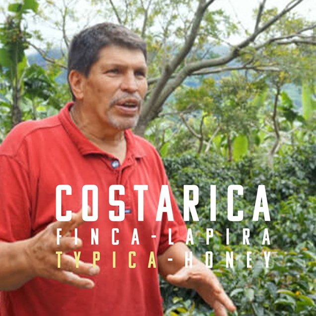 コスタリカ　ラ・ピラ農園　ティピカ　ハニー　200g