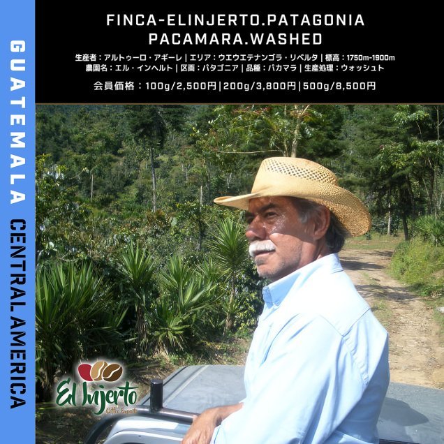 グアテマラ　エル･インヘルト農園　パタゴニア　パカマラ　ウォッシュト　200ｇ　23年ニュークロップ