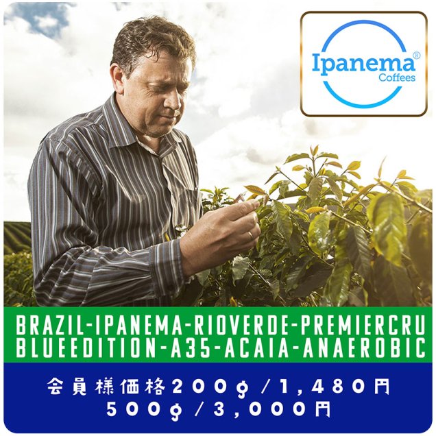 ブラジル　イパネマコーヒー　リオヴェルデ農園　プルミエクリュ　ブルーエディション　アカイア　アナエロビックナチュラル 500g