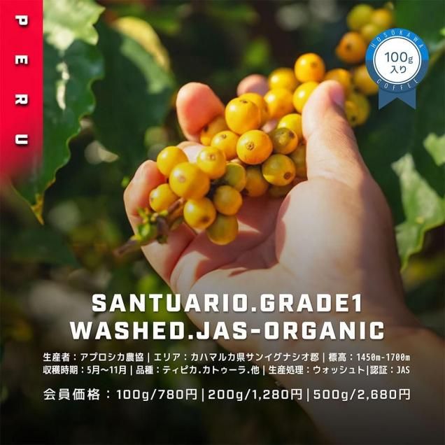 <img class='new_mark_img1' src='https://img.shop-pro.jp/img/new/icons15.gif' style='border:none;display:inline;margin:0px;padding:0px;width:auto;' />ペルー サンチュアリオ　グレード１　オーガニック　100ｇ