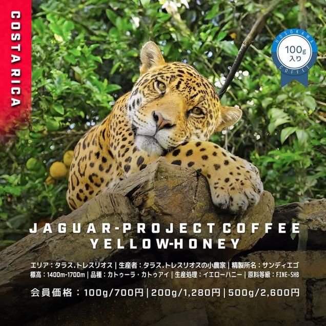 【期間限定特価】 ジャガープロジェクトコーヒー スペシャルティコーヒー - コーヒー