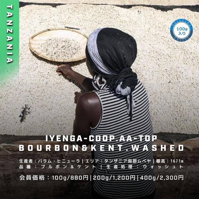 󥶥˥AA TOP 󥬡åȡ100