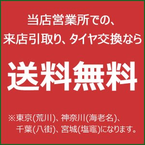 バン・小型トラック/バス用スタッドレスタイヤ】195/75R15 109/107L