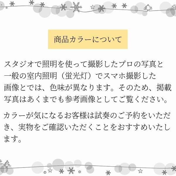 SANSOライアーⅠ (37弦) 初級タイプ