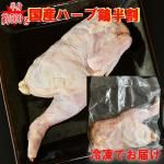 񻺥ϡַȾ500~600gȴסȥɥ С٣ ȥ 