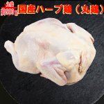 丸鶏◆国産ハーブ鶏1羽約900g◆中抜きタイプ　アウトドア バーベＱ ローストチキン