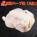 ݷܢ񻺥ϡַ11kg1.2kgȴסȥɥ С٣ ȥ