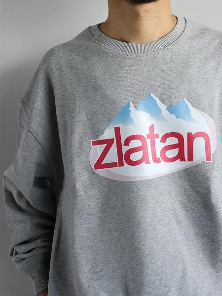 ATELIER AMELOT / FAUXGraphic Sweat / Zlatan - GRAY