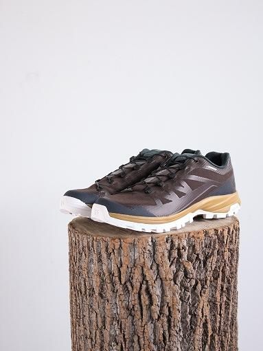 salomon × and wander　SALOMON OUTpath CSWP for and wander / brown