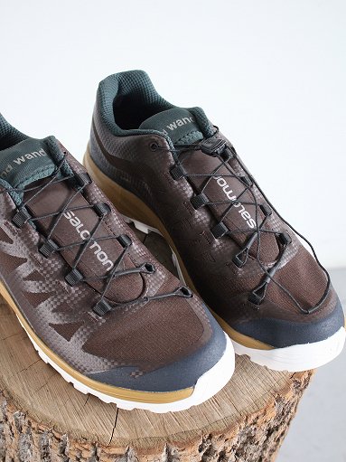salomon × and wander　SALOMON OUTpath CSWP for and wander / brown