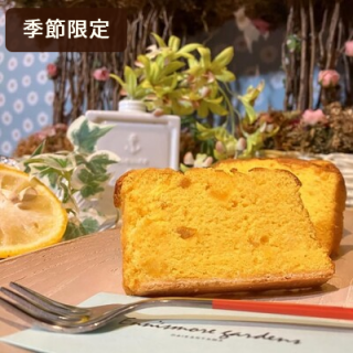 椺Υѥɥ