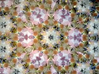 虹の星 L -タロット- - -【CRYSTAL SCOPE 】-Online Shop