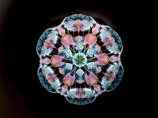 虹の星 L -タロット- - -【CRYSTAL SCOPE 】-Online Shop