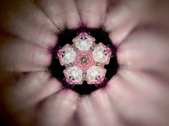 万華鏡(カレイドスコープ)-桜の万華鏡- CRYSTAL SCOPE 万華鏡(カレイドスコープ)-桜の万華鏡- CRYSTAL SCOPE