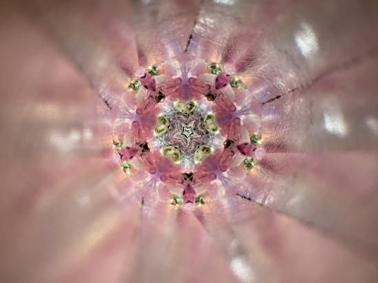 【アンティーク】クリスタルの万華鏡　カレイドスコープ 万華鏡（カレイドスコープ）の歴史- CRYSTAL SCOPE