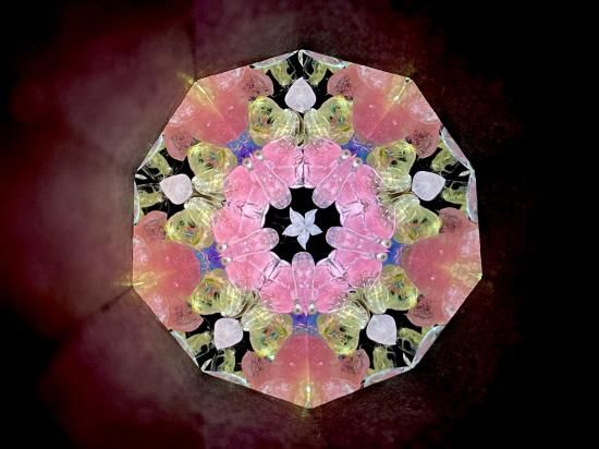 虹の星 L | 蝶紋 - -【CRYSTAL SCOPE 】-Online Shop