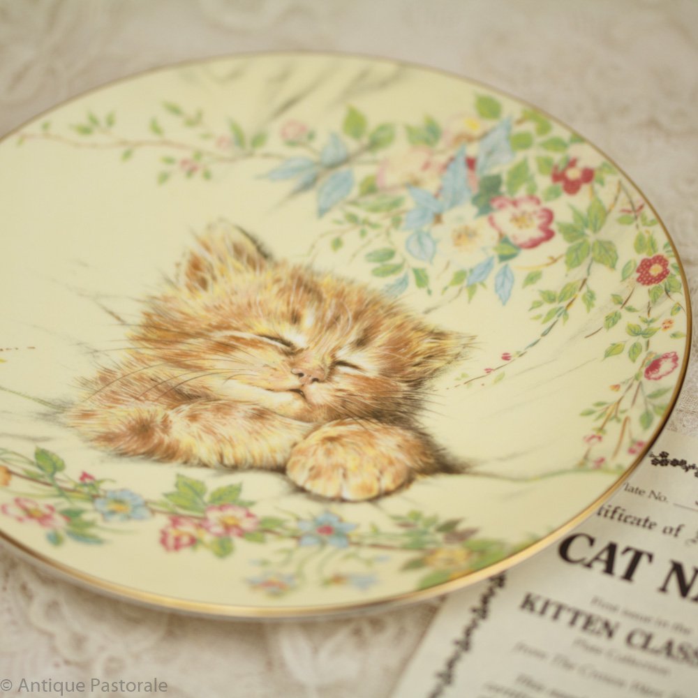 ロイヤルウースター CatNap ねこの昼寝 かわいらしい飾り皿 - アンティーク パストラーレ