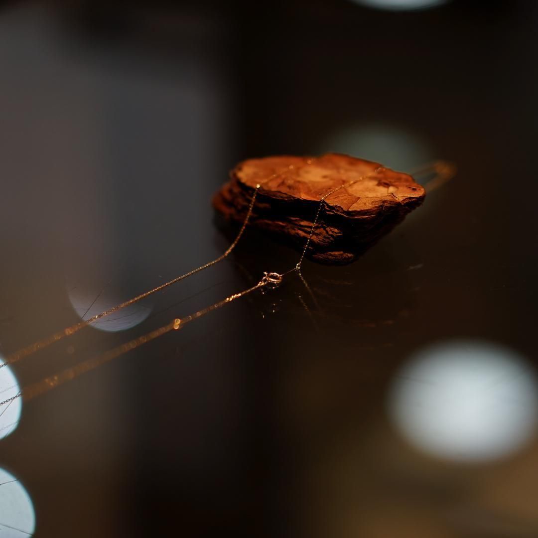 EXCLUSIVE BALUCA/Tetsuya Fujimoto by NEEDISverona /Yellow Gold Necklace

