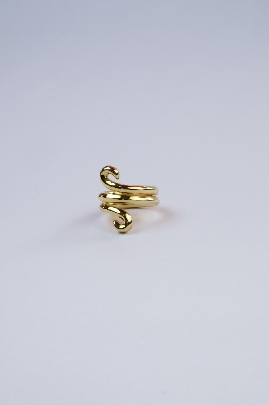 R.ALAGAN / VINE FICKLE RING - GOLD | sweatreno.com