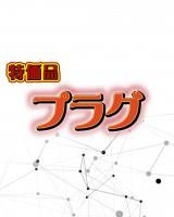 ץ饰